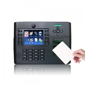 Biometrisk adgangskontrol Fingeraftryk tidsregistrering med stor brugerkapacitet (TFT900-H)