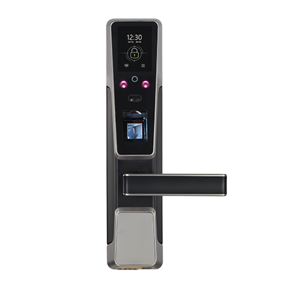 Biometric Fingerprint and Face Smart Door Lock with RFID Card Reader (ZM100) Featured Image
