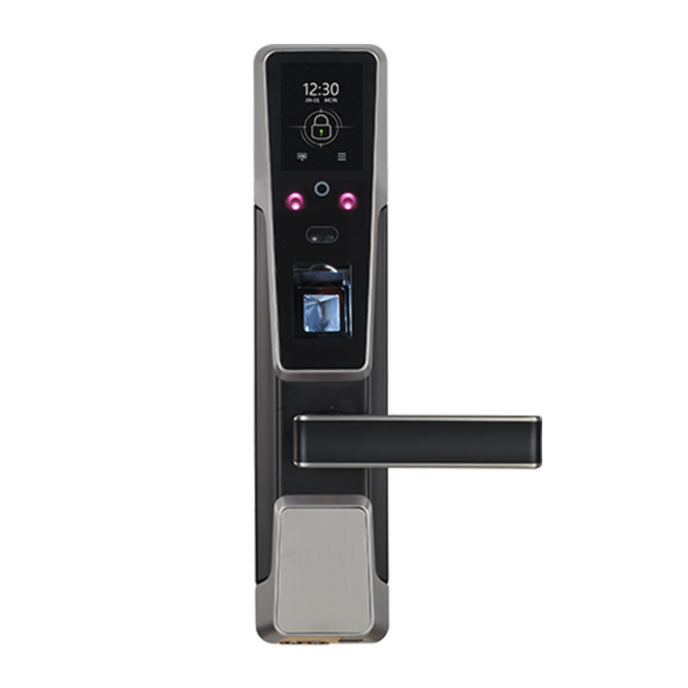 PriceList for American Deadbolt Door Lock - Biometric Fingerprint and Face Smart Door Lock with RFID Card Reader (ZM100) – Granding