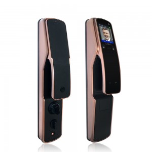 Multi-Biometric Door Lock Auto Unlock Facial and Palm Verification