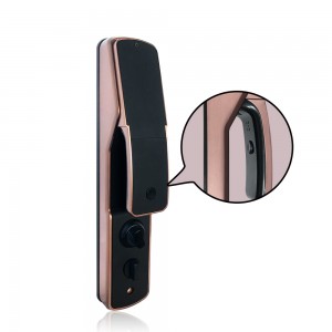 Multi-Biometric Door Lock Auto Unlock မျက်နှာနှင့် လက်ဖဝါးဖြင့် အတည်ပြုခြင်း။