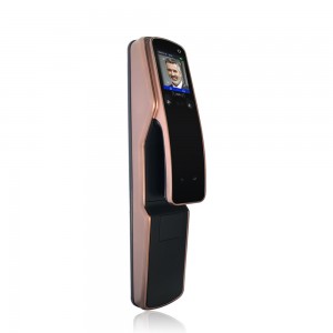 Multi-biometrický zámek dveří Automatické odemykání obličeje a dlaně