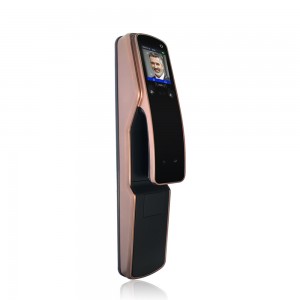 Multi-Biometric Door Lock ອັດໂນມັດ ປົດລັອກດ້ວຍໃບໜ້າ ແລະ ການຢັ້ງຢືນດ້ວຍຝາມື