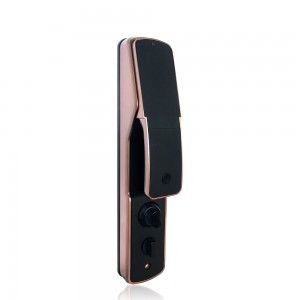 Kunci Pintu Multi-Biometrik Buka Kunci Otomatis Verifikasi Wajah dan Telapak Tangan