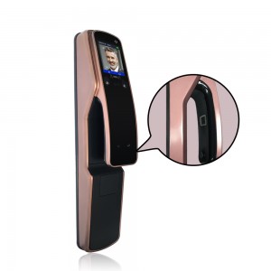 Multi-Biometric Door Lock Auto Unlock Facial and Palm Verification