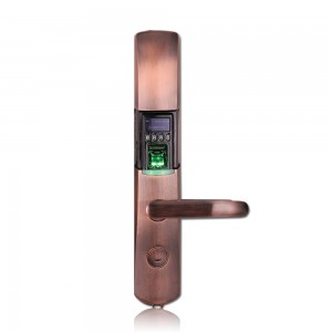Glas lorgan-meòir tuigseach le taisbeanadh OLED agus eadar-aghaidh USB (L9000)