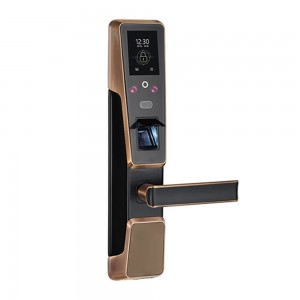 Biometric Fingerprint and Face Smart Door Lock with RFID Card Reader (ZM100)