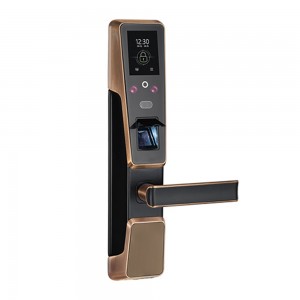 I-Biometric Fingerprint kunye neFace Smart Door Lock ene-RFID Card Reader (ZM100)