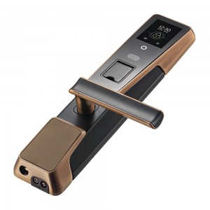 Biometric Fingerprint and Face Smart Door Lock with RFID Card Reader (ZM100)