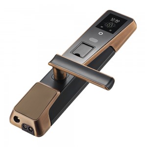 Biometric Fingerprint uye Face Smart Door Lock ine RFID Card Reader (ZM100)